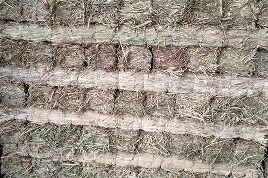 防滑草支墊在鋼廠鐵路裝載中的作用與價(jià)值(防滑草支墊在鋼廠鐵路裝載中的作用與價(jià)值是什么) 防滑草支墊在鋼廠鐵路裝載中的作用與價(jià)值(防滑草支墊在鋼廠鐵路裝載中的作用與價(jià)值是什么)