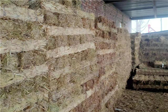稻夫草支墊在鐵路運輸裝載加固中的應用研究(稻草墊厚度不得小于且壓實后不得小于10mm) 稻夫草支墊在鐵路運輸裝載加固中的應用研究(稻草墊厚度不得小于且壓實后不得小于10mm)