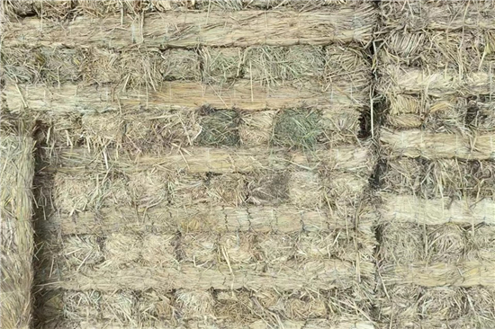 防滑草支墊在鋼廠鐵路裝載中的作用與價(jià)值(防滑草支墊在鋼廠鐵路裝載中的作用與價(jià)值是什么) 防滑草支墊在鋼廠鐵路裝載中的作用與價(jià)值(防滑草支墊在鋼廠鐵路裝載中的作用與價(jià)值是什么)
