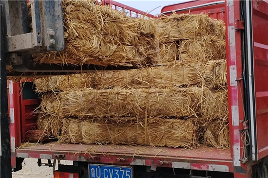 鋼廠鐵路運(yùn)輸防滑加固稻夫草支墊與傳統(tǒng)材料的對(duì)比優(yōu)勢(shì) 鋼廠鐵路運(yùn)輸防滑加固稻夫草支墊與傳統(tǒng)材料的對(duì)比優(yōu)勢(shì)