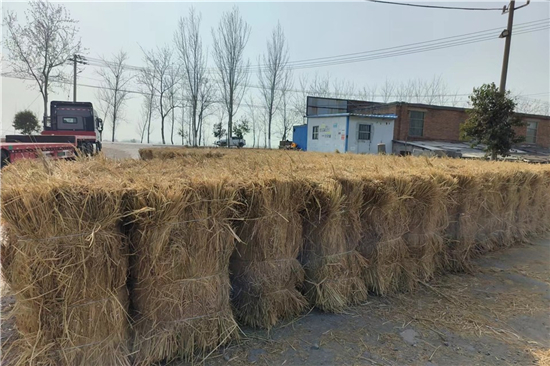 稻夫草支墊在鐵路運輸中對貨物的平穩(wěn)支撐 稻夫草支墊在鐵路運輸中對貨物的平穩(wěn)支撐