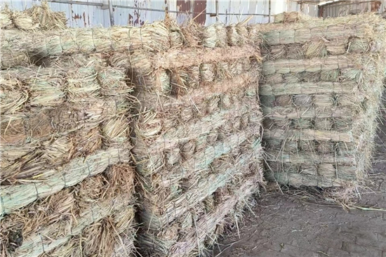 鐵路鋼廠裝載防滑草支墊的優(yōu)勢(shì)與特點(diǎn)(鐵路鋼廠裝載防滑草支墊的優(yōu)勢(shì)與特點(diǎn)是什么) 鐵路鋼廠裝載防滑草支墊的優(yōu)勢(shì)與特點(diǎn)(鐵路鋼廠裝載防滑草支墊的優(yōu)勢(shì)與特點(diǎn)是什么)