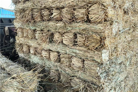 鋼廠鐵路運(yùn)輸防滑加固稻夫草支墊的施工要點(diǎn)(稻草墊厚度不得小于) 鋼廠鐵路運(yùn)輸防滑加固稻夫草支墊的施工要點(diǎn)(稻草墊厚度不得小于)