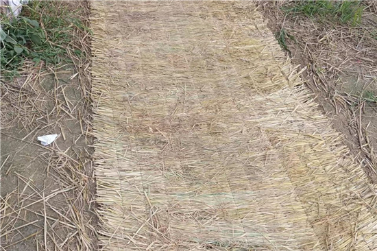 稻夫草支墊在鐵路運輸中的安全性能評估(稻草墊一般鋪墊于貨物與車地板間) 稻夫草支墊在鐵路運輸中的安全性能評估(稻草墊一般鋪墊于貨物與車地板間)